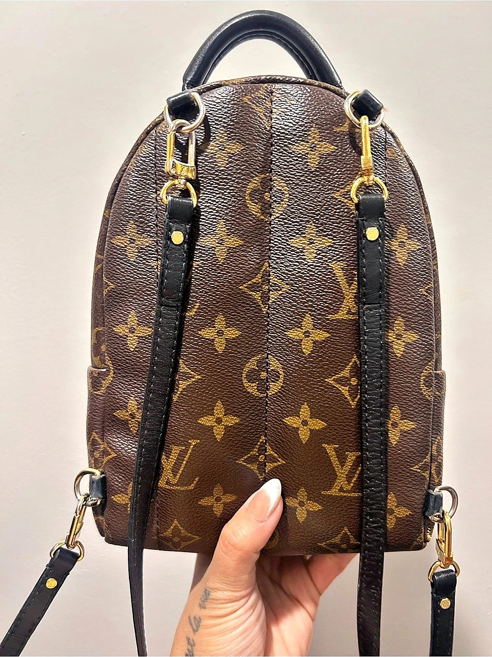 Louis Vuitton Palm Springs Mini Backpack in Brown & Black
